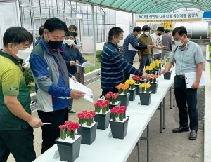 기사이미지
